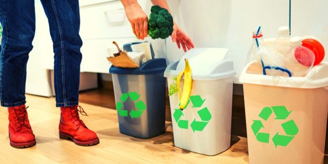 Simple Ways to Segregate Waste at Home & Office !