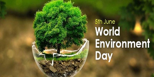 World Environment Day 2020: The year of flexibility, change, variation & evolution !