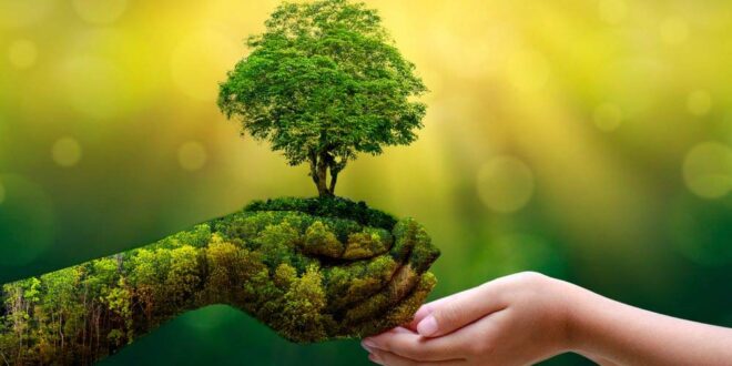 Save a tree, save a life..Plant a tree, plant a life !