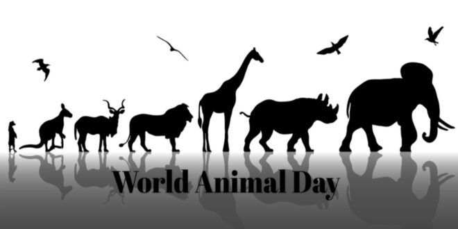 World Animal Day !