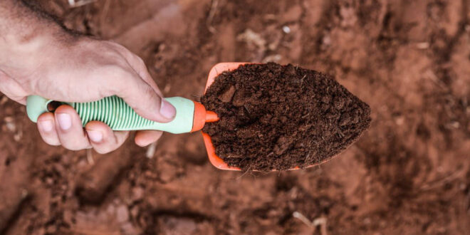 Soil Testing in 5 Minutes: 2 Scientists Innovate Paper-Based Device To Help Farmers