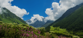 Valley of Flowers National Park